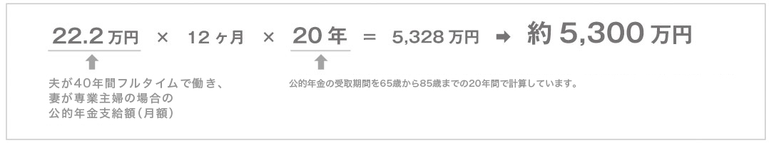 公的年金受取金額